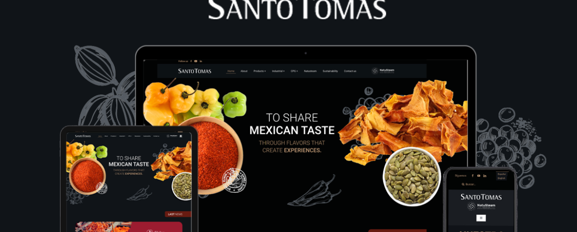 PAGINA WEB -RD-PORFAOLIO-2023-WEB_SANTOTOMAS