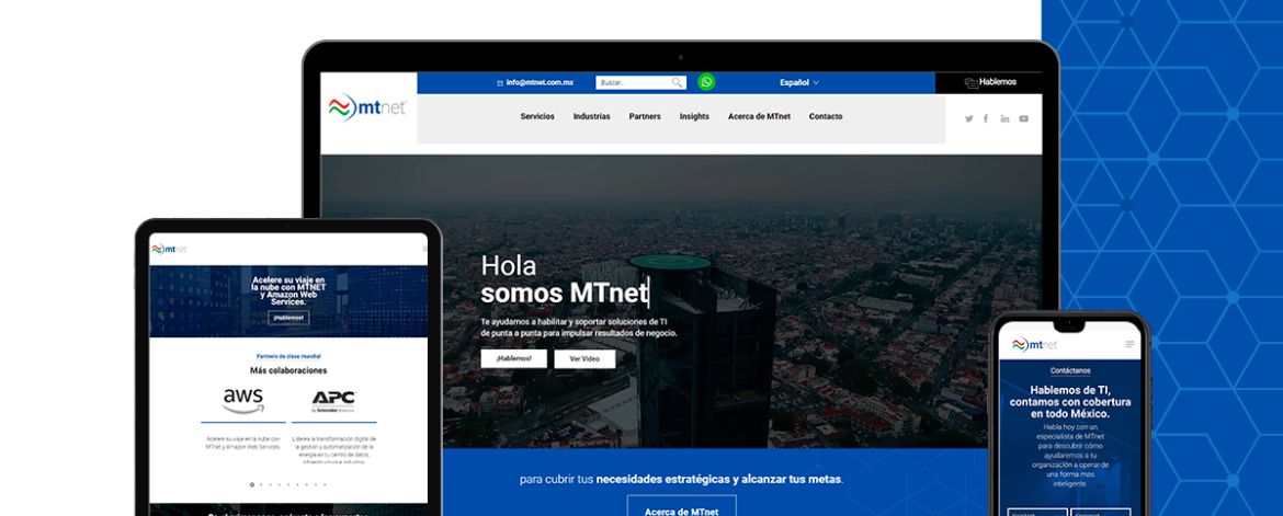 PORTAFOLIO-WEB-MTNET-LOW