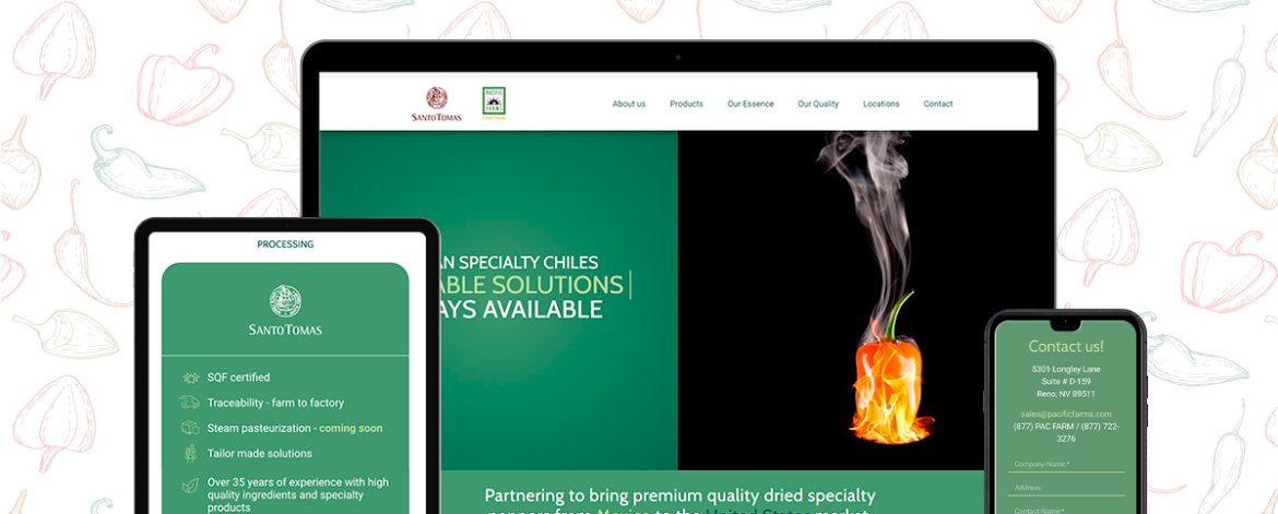 PORTAFOLIO-WEB-SANTOTOMAS-LOW