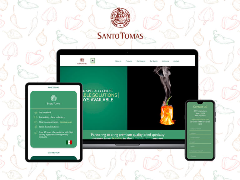 PORTAFOLIO-WEB-SANTOTOMAS-LOW