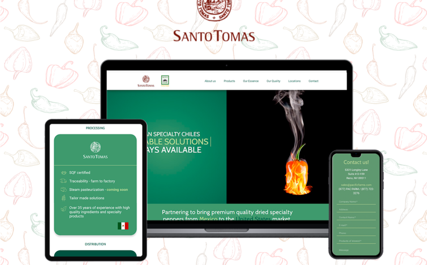 PORTAFOLIO-WEB-SANTOTOMAS-LOW