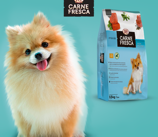 grandpet-cf-600x518